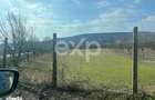 Teren intravilan de vanzare 3.392 mp Gorganu, Calinesti - 2