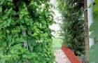 Casă cu 3 camere cu Teren 209 Mp în Brăila - 6