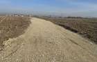 Teren Bod Brasov ideal 4.500 m2 - 4 loturi - 8