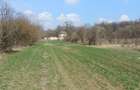 Teren intravilan Măgurele langa padurea Cornetu si Arges - 8