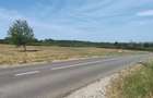 Teren Construcții intravilan de 700 mp, în Paleu - 3