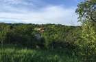 Teren intravilan Podgoria Oradea cu panorama / priveliste / view - 4