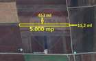 Teren Extravilan 5.000 mp Tarlungeni / Strada Zizinului - 5