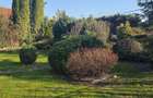 Vila D+P+E de vanzare in cartierul Europa - 7