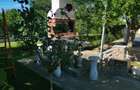 Casă cu 14 camere cu Canalizare în Trivale - 28