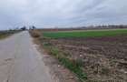 Teren Construcții intravilan de 5002 mp, în Central - 3