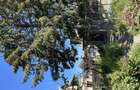 Casă cu 4 camere cu Teren 980 Mp în București - 2
