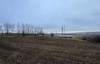 Teren Dorohoi - 23000 mp - Sau - Parcele 1000mp, 900mp, 1500mp, etc. - 3