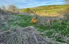 Teren agricol de 5500 mp, în Sopor - 9
