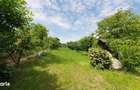 Teren intravilan - 2400 mp - 3 cabane din lemn modulare - Lisaura - 9