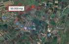 Teren agricol extravilan de 50000 mp, în Hălchiu - 1