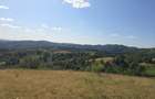 15 Hectare teren la munte ?inutul Padurenilor - 7