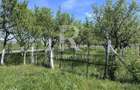 Casa de vacan?a + livada | teren 3000 mp | Chijic | Bihor - 8