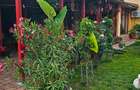 Vănd casâ sau schinb cu un apartament2 camere - 4