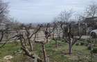 Vanzare casa curte sat Padureni com Jaristea Foc?ani - 4