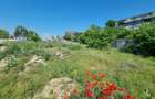 Teren Construcții de 2500 mp, în Calea Severinului - 2