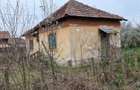 Teren si casa in Goicea-Dolj - 3