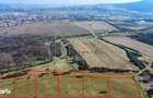 Oportunitate Investitie: Parcele de 1.000 mp la un pas de Transalpina! - 4