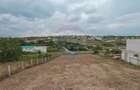 Teren Construcții intravilan de 1000 mp, în Dealuri Oradea - 4