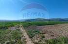 Panorama deasupra lumii Teren de poveste Gura Raului, zona Peste Grui - 2