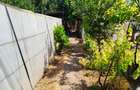 Casa + Curte + Teren arabil generos, Nerau, Teremia Mare, 1596 mp, locuibila imediat - 4