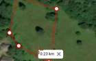 Teren de 4000 mp, în Muntele Băișorii - 2