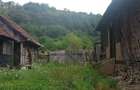 Vand casa cu gradina - 3