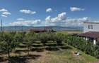 Cabana de lemn, 2 camere, teren 850 mp, livada, Oarda, Alba Iulia - 4