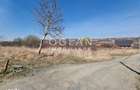 Oportunitate! Teren 8000 mp,parcelat ,cu PUZ ,Daia Noua, acces Dj 106 - 6