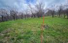 Teren 4.400 mp Comarnic | lini?te, priveli?te ?i intimitate! [ 18 NEGOCIABIL ] - 1