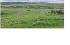 Vind lot 1200mp intravilan la strada, cu 1,8ha agricol, negociabil - 1