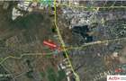 Spațiu industrial, de 16,800 mp, în Exterior Vest - 10
