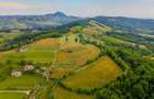 Teren Construcții de 11600 mp, în Poiana Mărului - 10