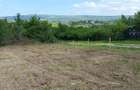 Teren de vanzare, 1079 m2(2parcele), Visan, jud.Iasi.Proprietar! - 8