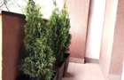 Garsonieră decomandată în Aurel Vlaicu - 2