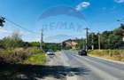 Casă individuală cu 6 camere cu Canalizare în Radna - 4
