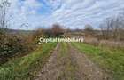 Teren de vanzare in Gro?i, Maramure?, 55 ari - 4