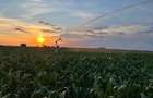Arendez teren agricol - 1
