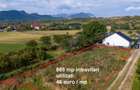 Teren Construcții de 865 mp, în Tohanu Nou - 13
