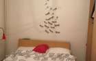 Apartament 2 camere Iancului/Elev Stefanescu - 12