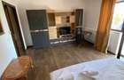 Apartament cu 2 camere semidecomandat în Cetate - 2