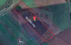 Teren de vanzare / extravilan 30.000mp/ Halchiu - 2
