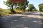 Teren de 5000 mp, în Cristești - 1