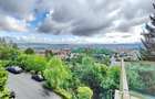 Apartament cu 3 camere semidecomandat în Drumul Poienii - 16