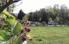 Intravilan 572 mp , loc de casa , zona padure Baicoi Prahova - 12
