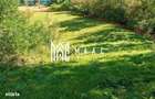 Teren | Intravilan | 2439 MPU | Fantanele - 6