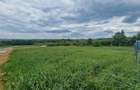 Teren Construcții de 500 mp, în Săldăbagiu de Munte - 3