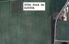 Teren agricol extravilan de 5000 mp, în Afumați - 4