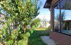 Vila P+1 de inchiriat - 9