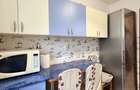 Apartament in Fizicienilor - Camil Ressu - 11